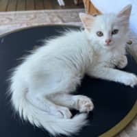Photo of Mimi
