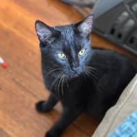 Photo of Riley