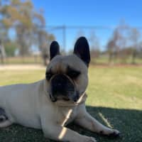 Photo of Gus