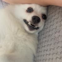 Photo of Saidee