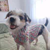 Photo of Tess And Miley 