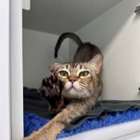 Photo of Mia
