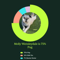 Photo of Molly Wensleydale