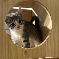 Photo of Bella 🌼🌻