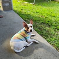 Photo of Jack 