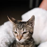 Photo of Trujillo (Trudy)