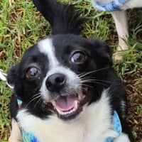 Photo of Dorothy