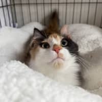 Photo of Poe