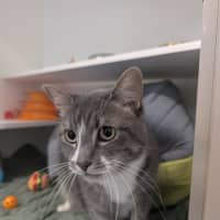 Photo of Sparkle