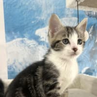 Photo of Tiggy