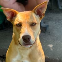 Photo of Tammy