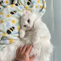 Photo of Will & Grace