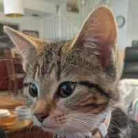 Photo of Pumpkin 💗
