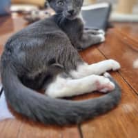 Photo of Beskar