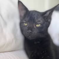 Photo of Bug