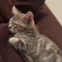 Photo of Perla/Winnie