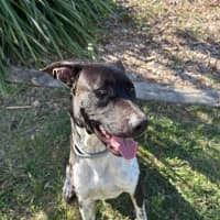 Photo of Maverick
