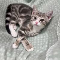 Photo of Charlotte   In Foster Care In Doreen