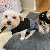 Photo of Bianca / Stella
