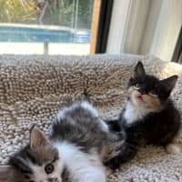 Photo of Trixie And Catya