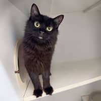 Photo of Sabrina