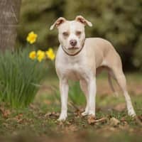 Photo of Holly