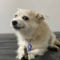 Photo of Tilly And Finn