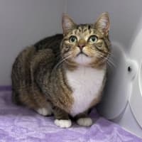 Photo of Timothy