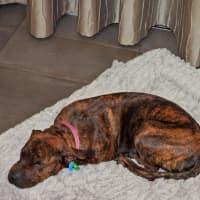 Photo of Coco Chanel