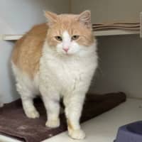 Photo of Churro