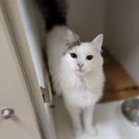 Photo of Tilly