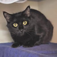 Photo of Precious