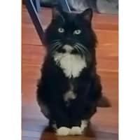 Photo of 11184   Midnight