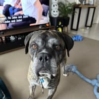 Photo of Zeus