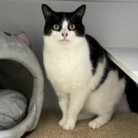 Photo of Wilbur