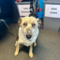 Photo of Kung Fu Panda 