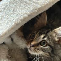 Photo of Larry 😻😻💙💙