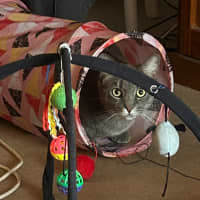 Photo of Bootsie
