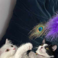 Photo of Will & Grace