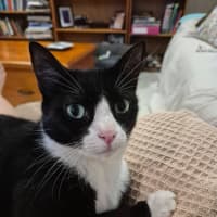 Photo of Martha