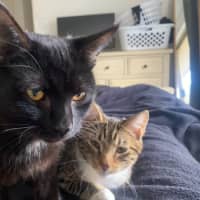 Photo of Jinx (With Bruni)