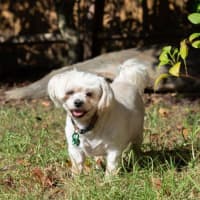 Photo of Wally And Ollie Peggotty