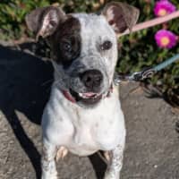 Photo of Grim