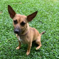 Photo of Norman & Hilda 