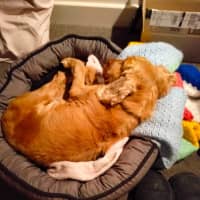 Photo of Mississippi