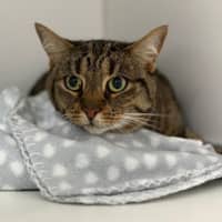 Photo of Coco