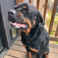 Photo of Zeus