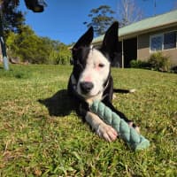 Photo of Annie