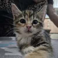 Photo of Noelle