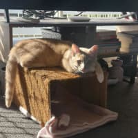 Photo of Roco Jacob